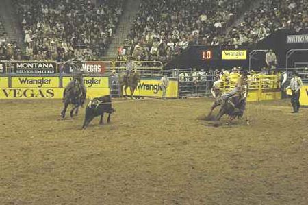 Nfr Arena